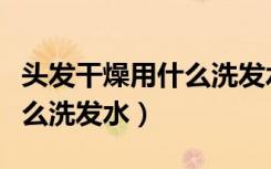头发干燥用什么洗发水好一点（头发干燥用什么洗发水）
