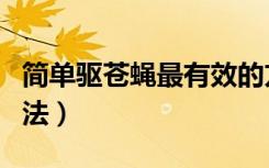 简单驱苍蝇最有效的方法（驱苍蝇最有效的方法）