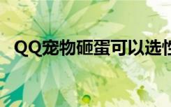 QQ宠物砸蛋可以选性别吗（qq宠物砸蛋）