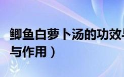 鲫鱼白萝卜汤的功效与作用（白萝卜汤的功效与作用）