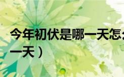 今年初伏是哪一天怎么个算法（今年初伏是哪一天）