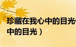 珍藏在我心中的目光作文500字（珍藏在我心中的目光）