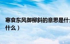 寒食东风御柳斜的意思是什么（寒食东来御柳斜的上一句是什么）