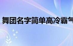 舞团名字简单高冷霸气四个字（舞团的名字）