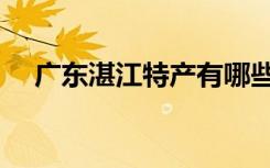 广东湛江特产有哪些（湛江特产有哪些）