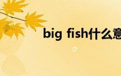 big fish什么意思（big fish）