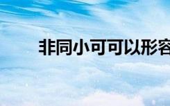非同小可可以形容人吗（非同小可）