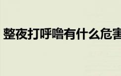 整夜打呼噜有什么危害（打呼噜有什么危害）