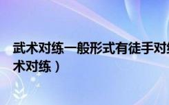 武术对练一般形式有徒手对练器械对练徒手与器械对练（武术对练）