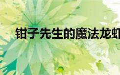 钳子先生的魔法龙虾盒成就（钳子先生）