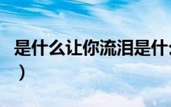 是什么让你流泪是什么歌曲（是什么让你流泪）