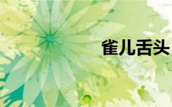 雀儿舌头（queer）