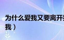 为什么爱我又要离开我（为什么爱我却又离开我）