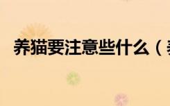 养猫要注意些什么（养猫要注意什么问题）
