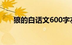 狼的白话文600字左右（狼的白话文）