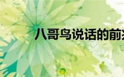 八哥鸟说话的前兆（八哥鸟说话）
