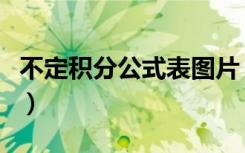 不定积分公式表图片（不定积分公式大全图片）
