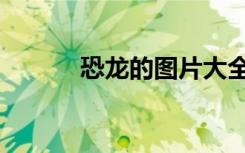 恐龙的图片大全（恐龙的图片）