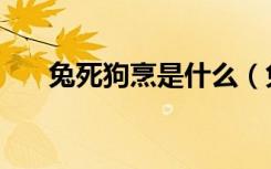 兔死狗烹是什么（兔死狗烹什么意思）