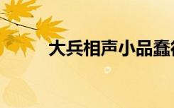 大兵相声小品蠢得死（大兵相声）