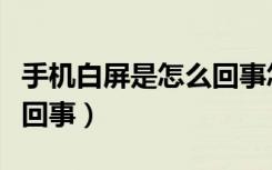 手机白屏是怎么回事怎么办（手机白屏是怎么回事）