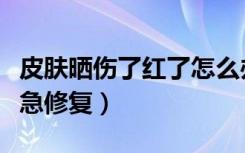 皮肤晒伤了红了怎么办好得快（晒红了怎么紧急修复）