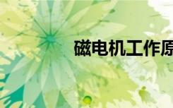 磁电机工作原理（磁电机）