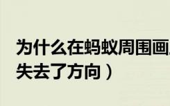 为什么在蚂蚁周围画上圈蚂蚁就失去了方向（失去了方向）