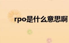 rpo是什么意思啊（rpo是什么意思）