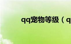 qq宠物等级（qq宠物怎么升级）