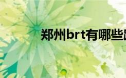 郑州brt有哪些路线（郑州brt）