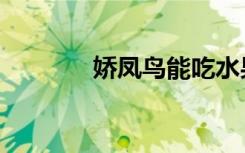娇凤鸟能吃水果吗（娇凤鸟）