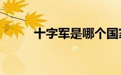 十字军是哪个国家的人（十字军）