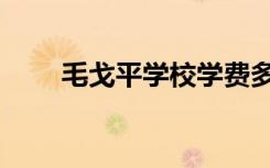毛戈平学校学费多少（毛戈平学校）
