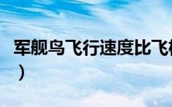 军舰鸟飞行速度比飞机快吗（军舰鸟飞行速度）