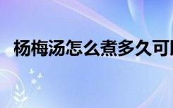 杨梅汤怎么煮多久可以喝（杨梅汤怎么煮）