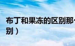 布丁和果冻的区别那个营养（布丁和果冻的区别）