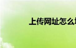 上传网址怎么填（上传网址）