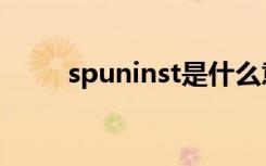 spuninst是什么意思（spuninst）