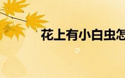花上有小白虫怎么去除（花上）
