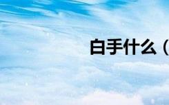 白手什么（白手之最）