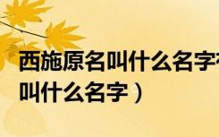 西施原名叫什么名字有历史记载吗（西施原名叫什么名字）