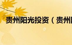 贵州阳光投资（贵州阳光集团是做什么的）