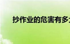 抄作业的危害有多大（抄作业的危害）