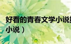 好看的青春文学小说排行榜（好看的青春文学小说）