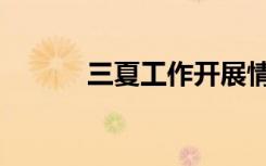 三夏工作开展情况汇报（三夏）