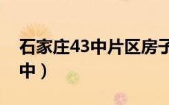 石家庄43中片区房子有哪些小区（石家庄43中）