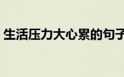 生活压力大心累的句子发朋友圈（生活压力）