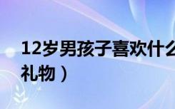 12岁男孩子喜欢什么礼物（男孩子喜欢什么礼物）