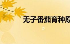 无子番茄育种原理（无子番茄）